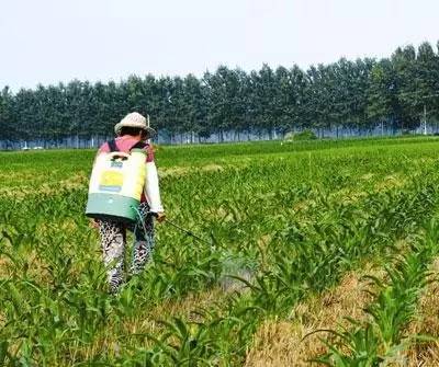 注意事项， 不Neng忽视