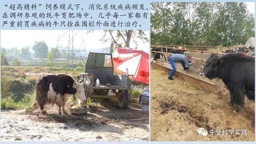 五大养殖误区，别踩雷