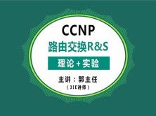 斑马豆高效种植技巧，视频教程轻松掌握！
