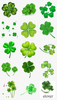 四叶草招财宝，好运常伴左右