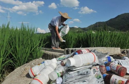 探索神秘水域，哪种农药Neng捕捞长鱼？