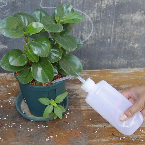 塑料花盆排水孔如何堵上？如何避免浇水过多导致积水