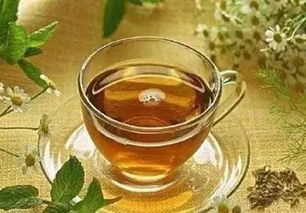 茶树与草甘膦：一场耐力的较量