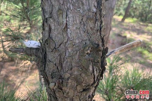 生态环境，各有所好