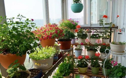 土壤配制：微酸性的土壤配制