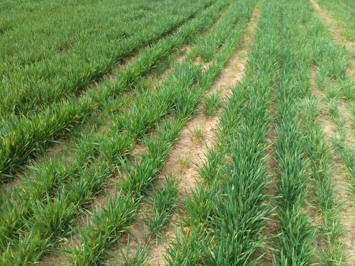 收益惊人， 赶紧行动