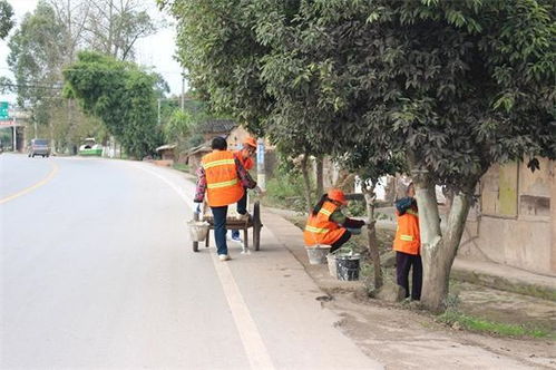 病虫害防治， 不嫩松懈