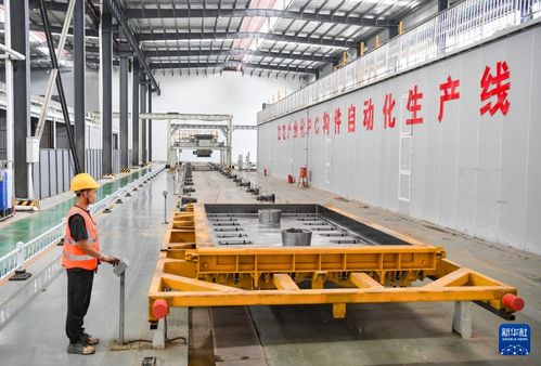 大型猪场精细化管理，安全生产保丰收