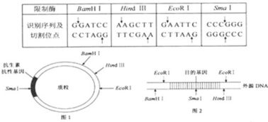 2025年微生物农药产量：揭秘农业的绿色守护者
