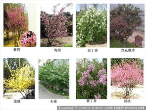 职业道路：多样化的选择