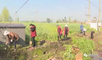 矿区群众责任植树：积极参与生态修复