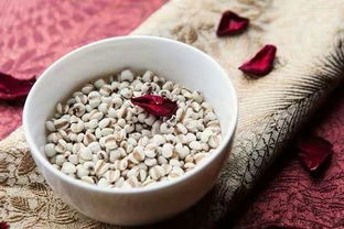 如何正确拌制百菌清拌土？