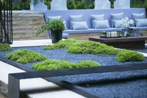 极寒生存者：-30℃绽放的植物战士