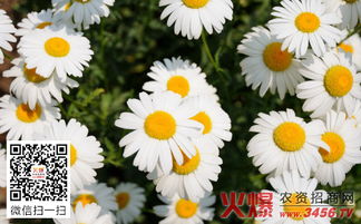 播种时间：抓住秋季的尾巴