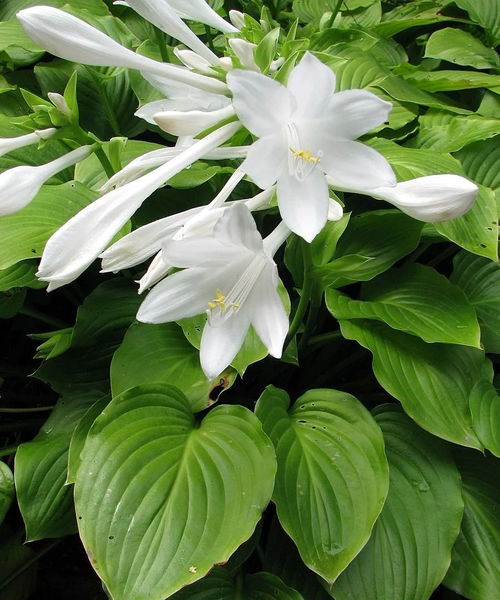 绘制第六步：与心得