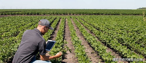 喷喷这 喷喷那，咱们聊聊施肥