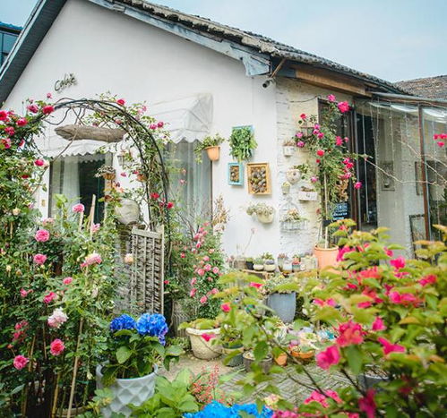 养花心得， 分享给大家