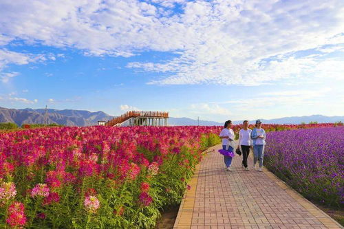 与花木共舞的岁月