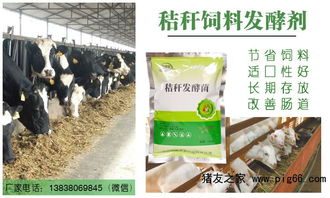 秸秆发酵菌有哪些种类？各自有什么作用和适用范围？