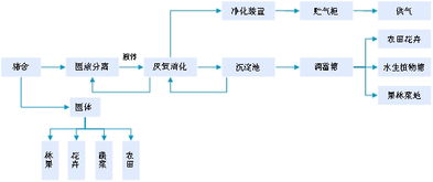 猪场环保技术：生物发酵、沼气利用、生态循环