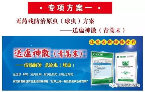 首次加倍磺胺药治球虫，增强疗效