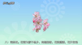 桃花的花语是爱情与繁荣，那么它是否真的能带来美好的爱情和繁荣的未来呢