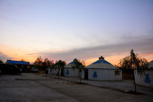 阿拉善左旗的治沙站独创