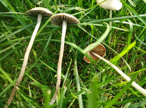 如何避免误区节省200元？