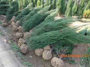 闺蜜小院改过案例：