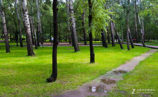 四季变换：春华秋实各有韵味