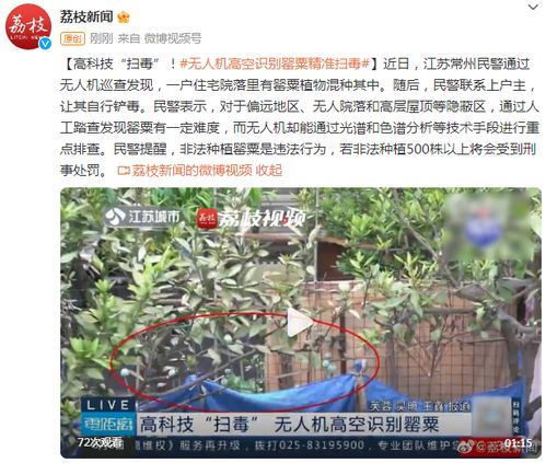 混种植物降低维护成本