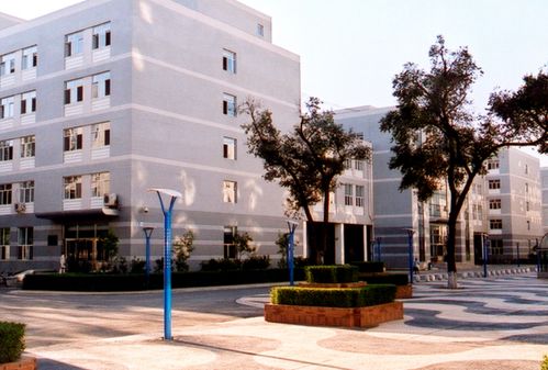 不同学校，不同解读