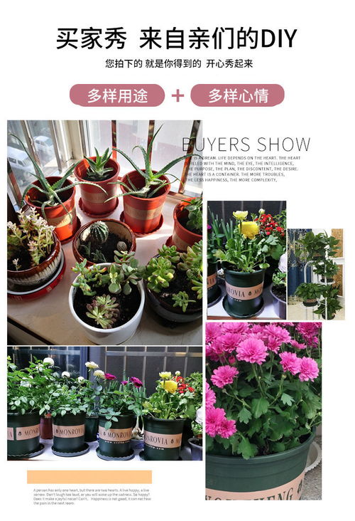 花盆材质也重要， 透气排水要兼顾