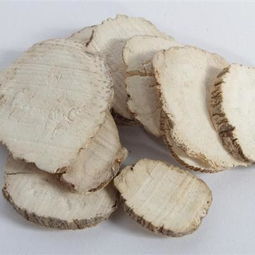 白芷小宝贝的喜好