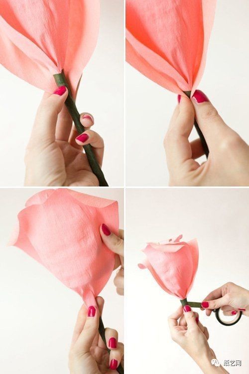 干玫瑰花的“容颜”