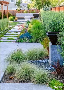 草坪杂草的综合防除