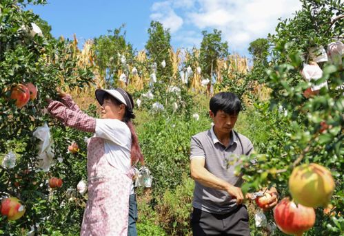 喷药时间有讲究