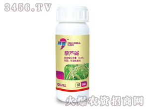 模拟机制：一场智慧的较量