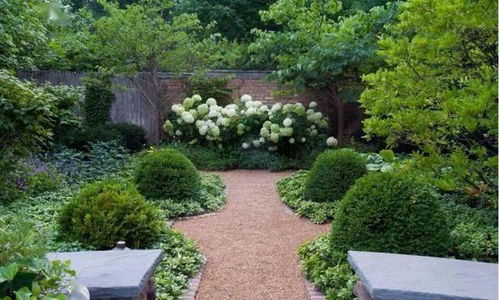 花境中层设计， 花草搭配的乐趣之旅