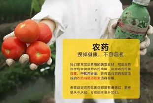 平安间隔期， 农业专家的黄金法则