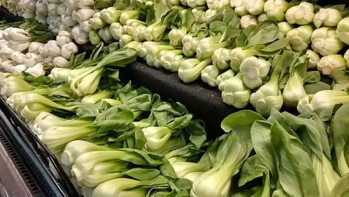 贡菜新鲜与否，颜色鲜亮、叶片厚实