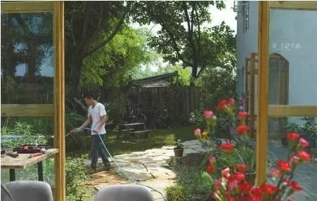 招财树、 石榴树，小院中的财富象征