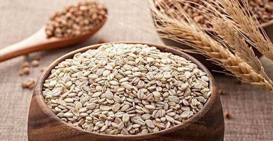 二、新手种柴胡亏本的原因