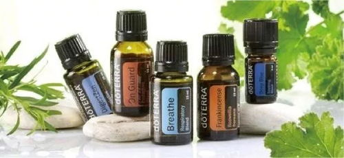 揭秘山茶油的神奇功效，最佳食用时机速览！