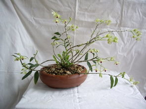 颜色搭配要讲究