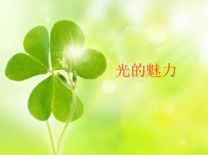 四叶草的神奇魅力和文化意义究竟体现在哪些方面