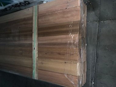 北非雪松， 那神秘的木材之王