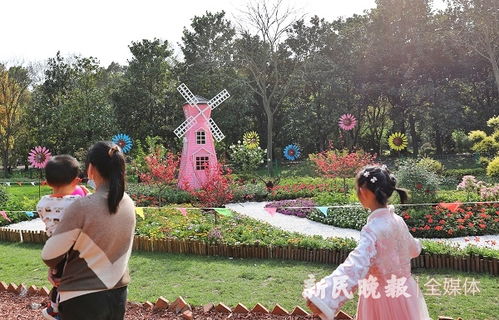 夏季炎炎， 河南花海依旧灿烂