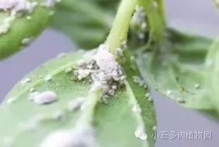 先说个关键数据