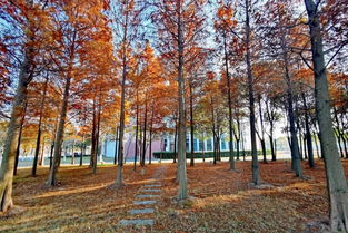 南方朋友忒别注意！